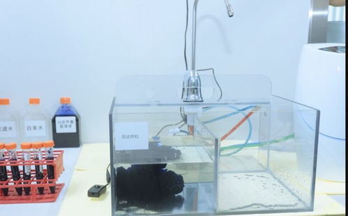 零距离探访安利 中国 透明工厂 揭秘明星产品背后的秘密